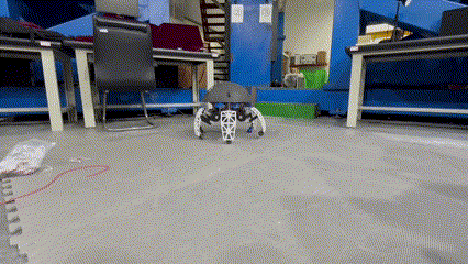 1747984155581444.gif