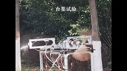 1747984231416369.gif