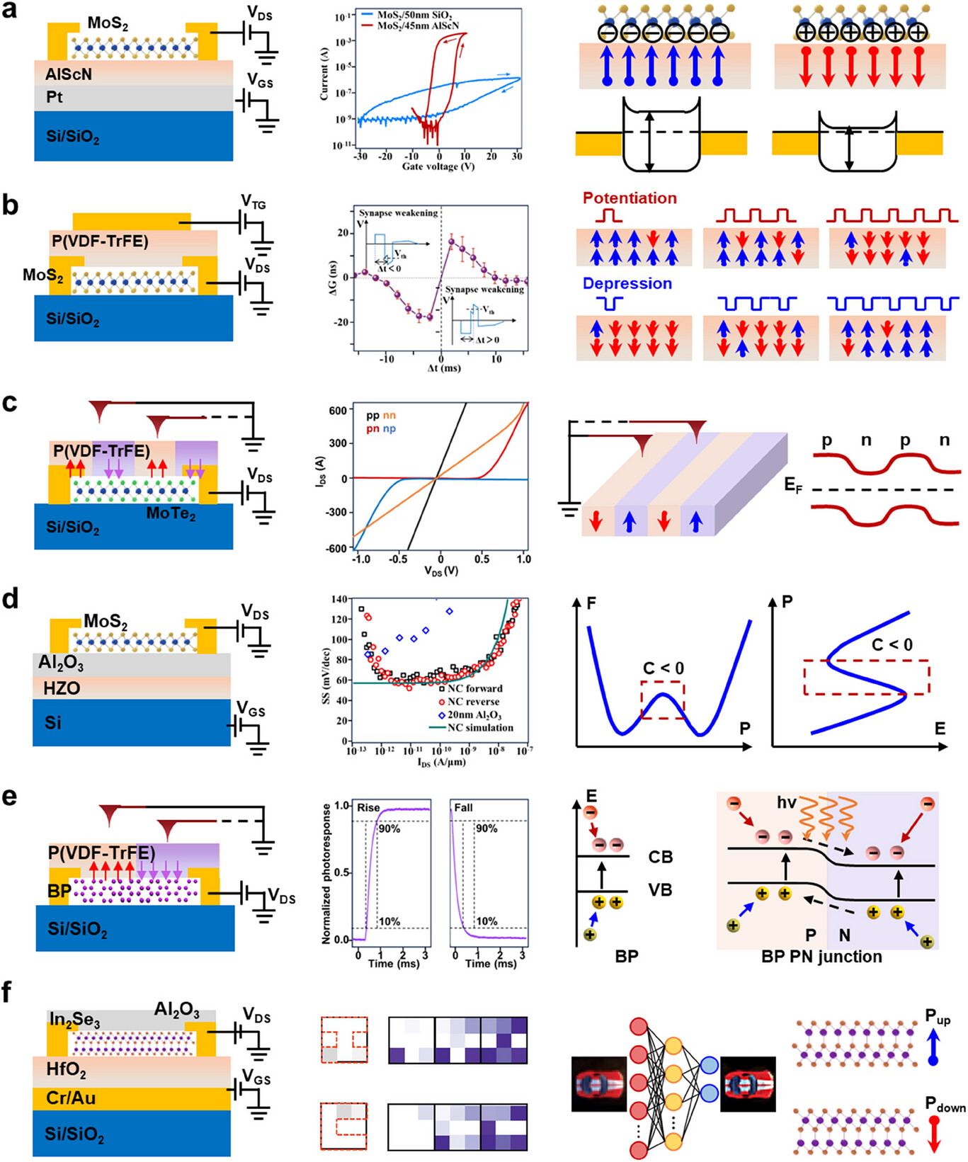 1763367354148463.jpg adma71382-fig-0002-m.jpg