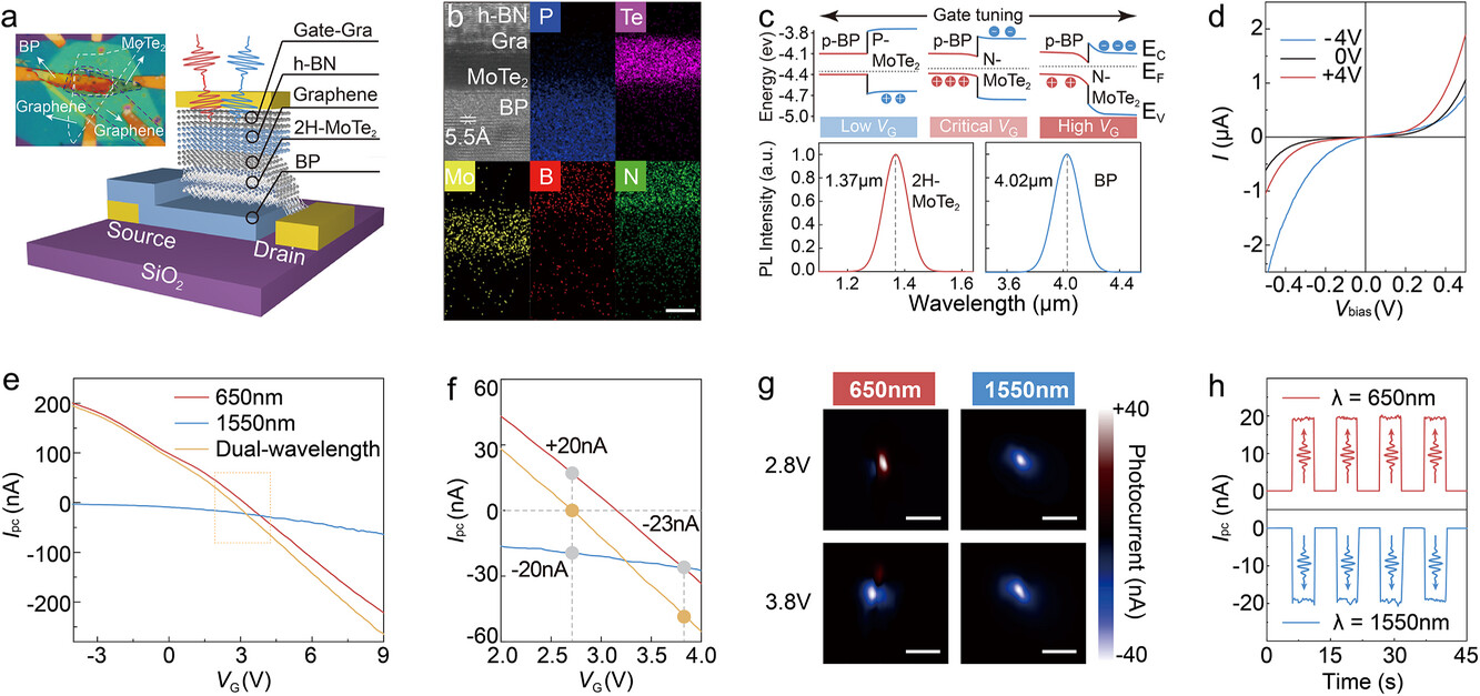 1763537240174264.jpg adfm72873-fig-0001-m.jpg