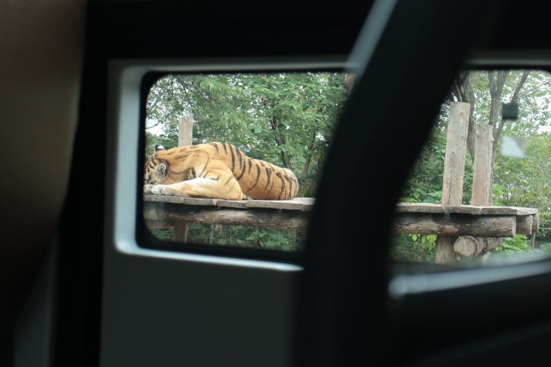 图2 猛禽区动物_resized.JPG